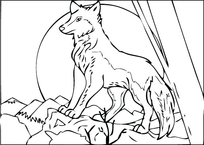701x500 Coloring Pages Of Wolves Also Wolf Coloring Book Plus Coloring
