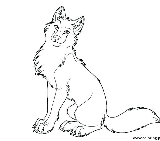 678x600 Coloring Picture Of A Wolf Popular Trend Coloring Pages