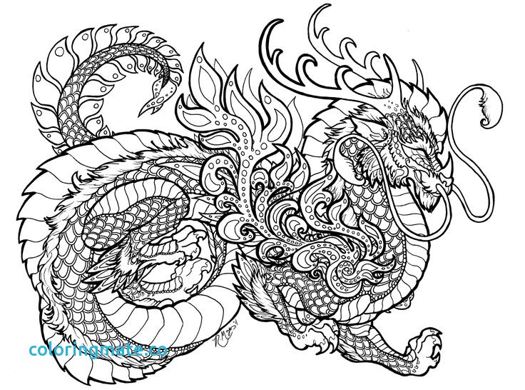 Printable Complex Coloring Pages Elegant Complex Coloring Pages 736x546 Printable Complex Coloring Pages Elegant Complex Coloring Pages