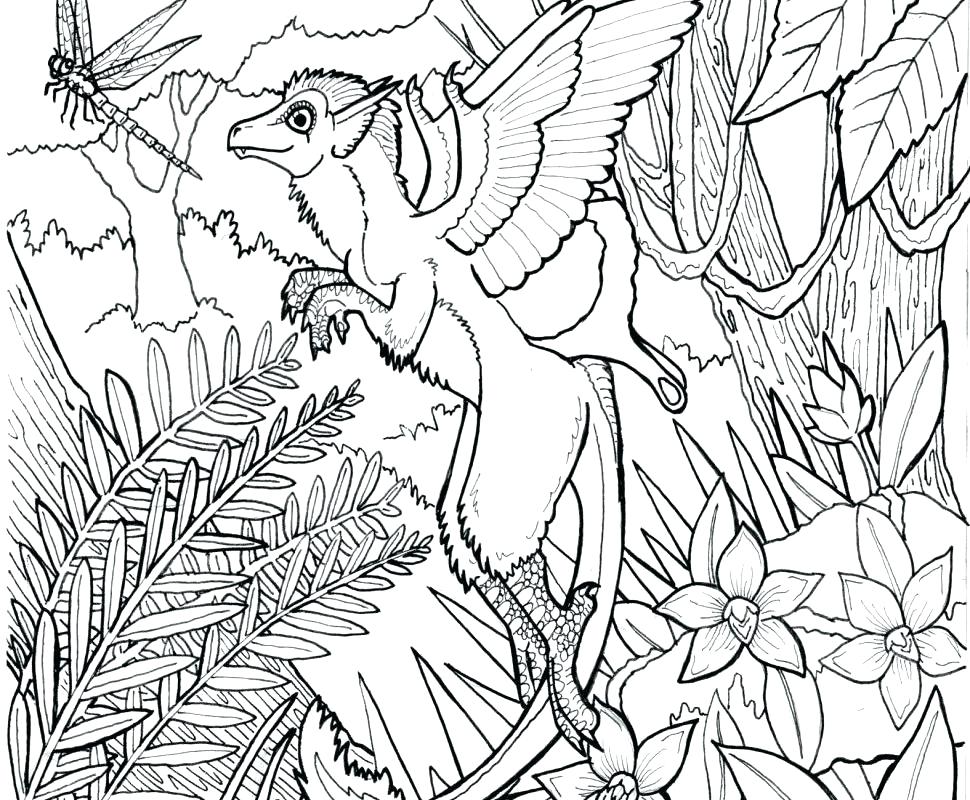 Terrific Free Butterfly Coloring Pages Terrific Free Butterfly 970x800 Terrific Free Butterfly Coloring Pages Terrific Free Butterfly