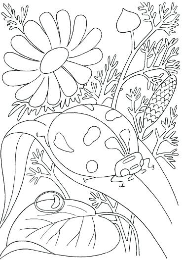 371x525 Spring Coloring Pages Printable Complicated Coloring Pages