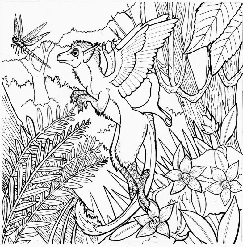 787x800 The Best Printable Complex Coloring Pages Of Complicated Ideas