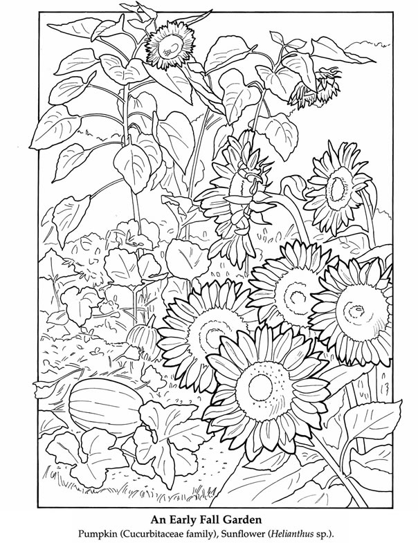 604x785 Complicolor Color It Printable Pages And Coloring Books For Grown