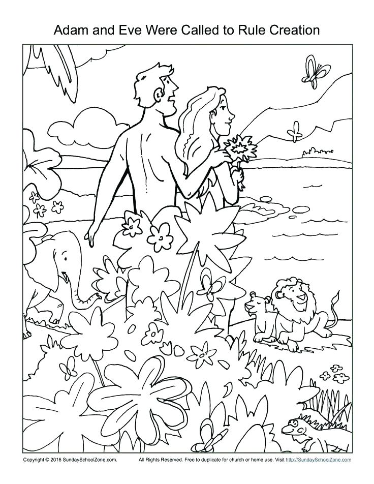 Coloring Pages For Creation Creation Coloring Pages And Eve Were 736x952 Coloring Pages For Creation Creation Coloring Pages And Eve Were