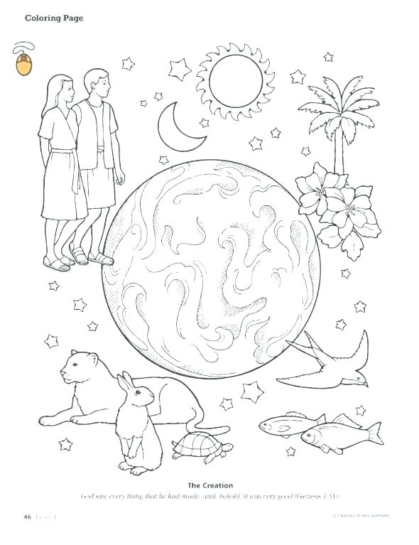 Creation Coloring Page Creation Coloring Page And Coloring Sheet 590x767 Creation Coloring Page Creation Coloring Page And Coloring Sheet