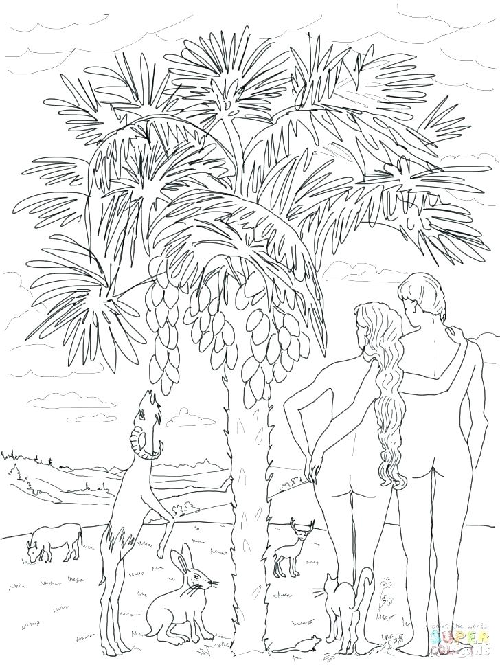 Creation Coloring Page 728x971 Creation Coloring Page