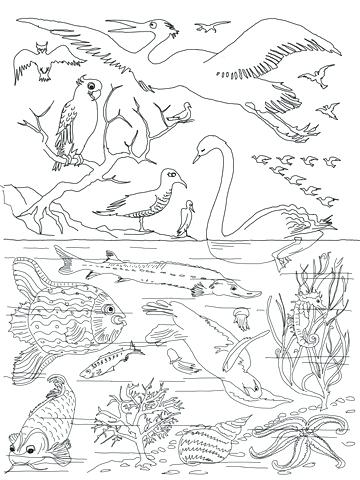 Creation Coloring Pages Click To See Printable Version Day 360x480 Creation Coloring Pages Click To See Printable Version Day
