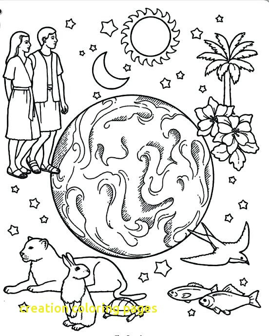 Creation Coloring Pages With Creation Coloring Pages Printable 552x688 Creation Coloring Pages With Creation Coloring Pages Printable