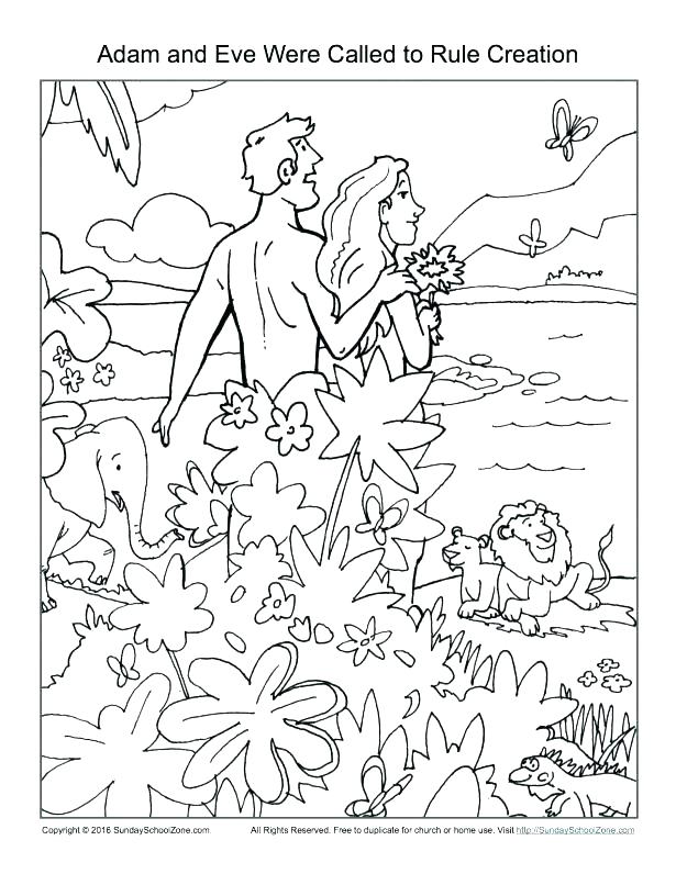 Free Coloring Pages Bible Free Printable Creation Coloring Pages 615x796 Free Coloring Pages Bible Free Printable Creation Coloring Pages