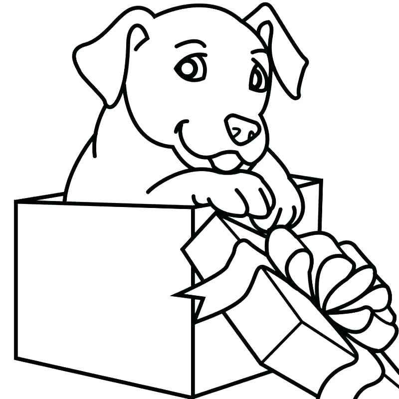 800x800 Puppy Coloring Pages Printable Free Printable Puppy Coloring Pages