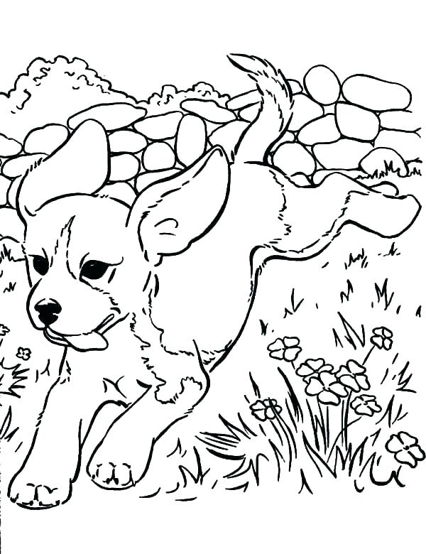 600x780 Puppy Coloring Pages To Print Colouring Page Puppy Colouring Page