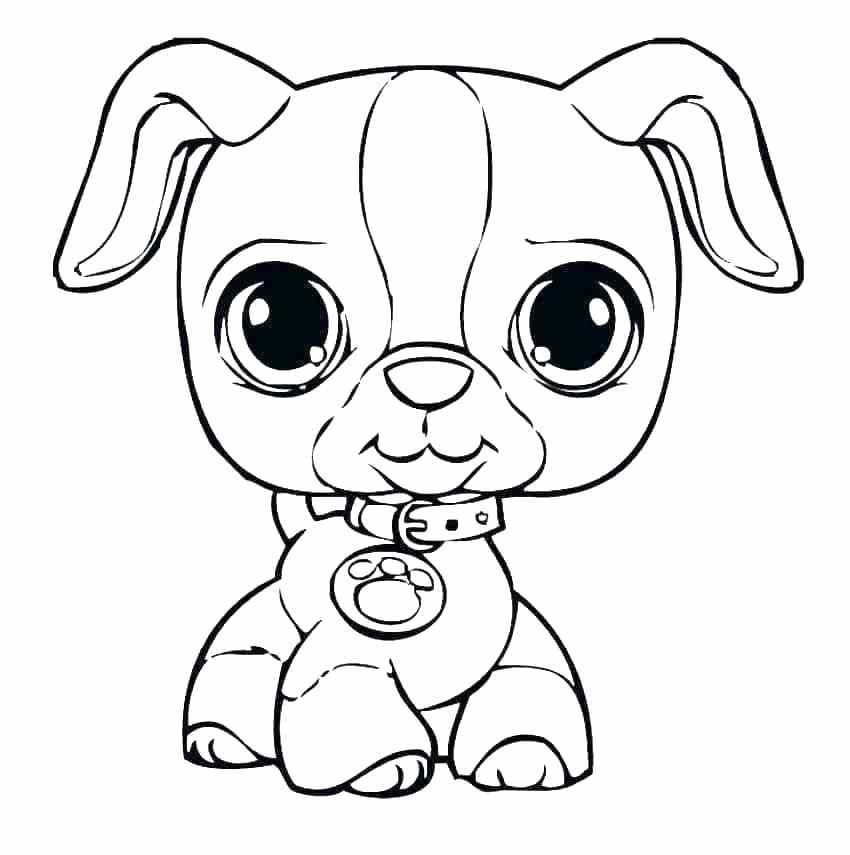 850x855 Cute Puppy Coloring Pages To Print Cute Coloring Page Coloring
