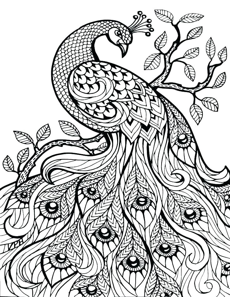 736x952 Butterfly Coloring Pages For Adults Printable Printable Butterfly
