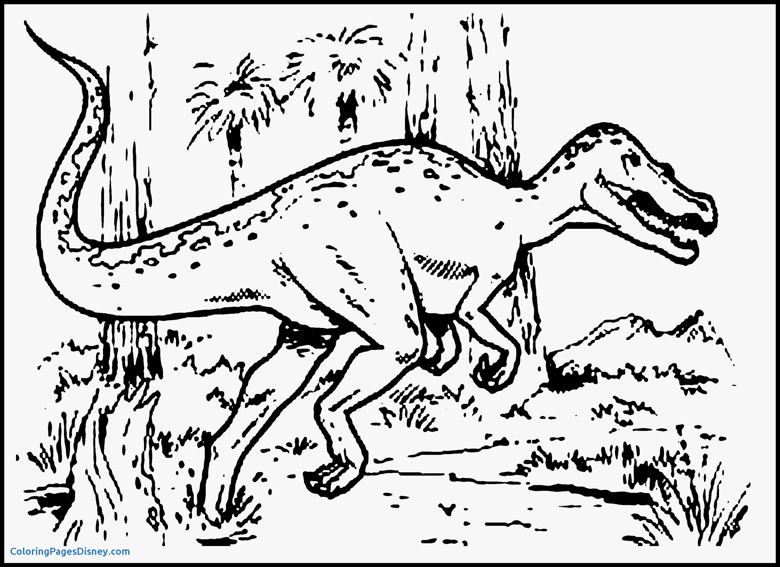 3120x2270 Dinosaurs Coloring Pages Awesome 20 Lovely Printable Dinosaur