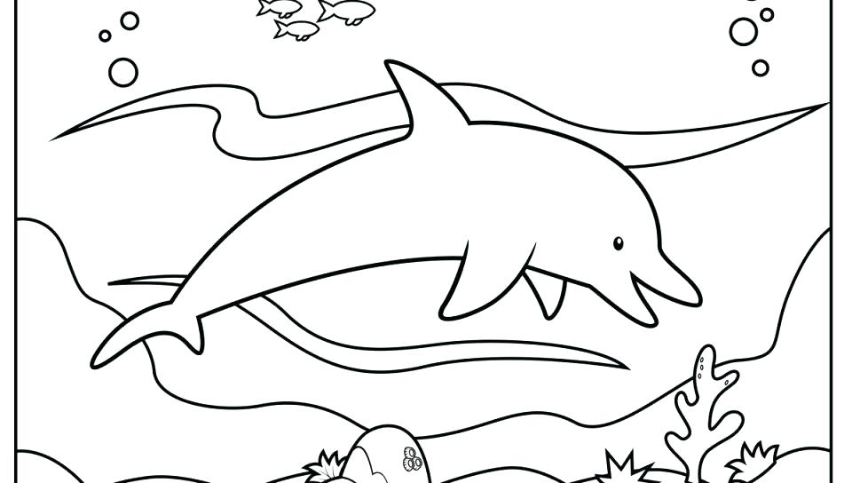 960x544 Printable Dolphin Coloring Pages Dolphin Coloring Pictures