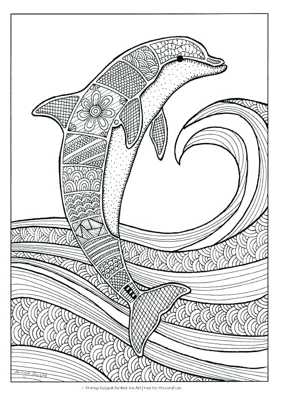 564x797 Printable Dolphin Coloring Pages Dolphin To Color In Coloring Page