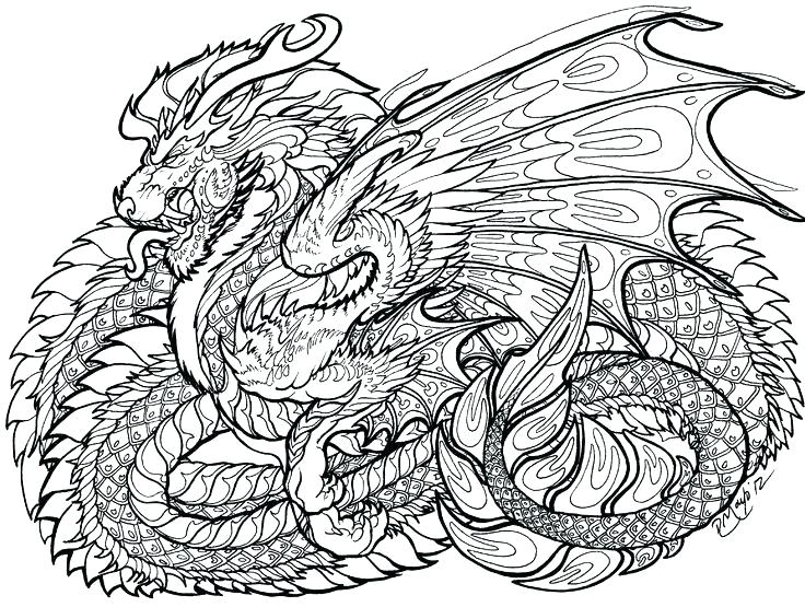 Printable Dragon Coloring Pages 736x555 Printable Dragon Coloring Pages