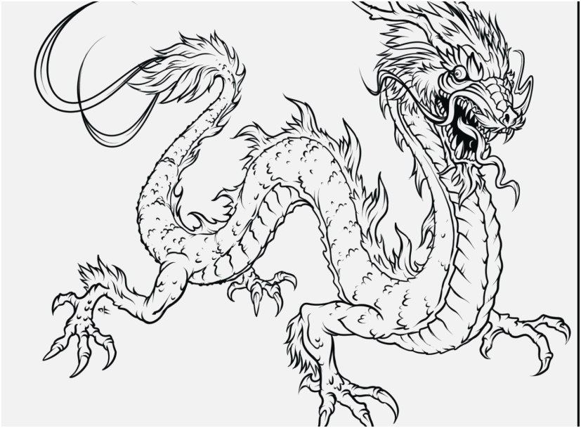 Printable Dragon Coloring Pages Picture Flying Dragon Coloring 827x609 Printable Dragon Coloring Pages Picture Flying Dragon Coloring