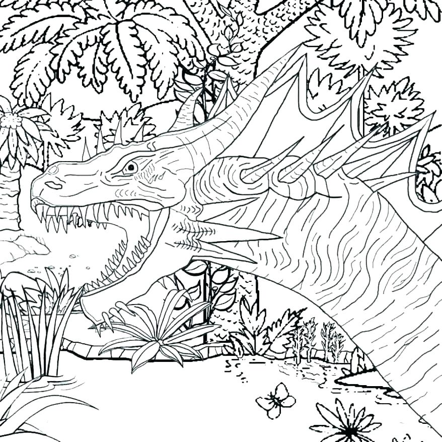 878x878 Printable Coloring Sheets For Adults