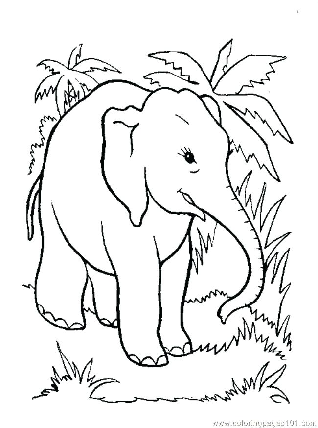650x873 Coloring Pages Of Elephants Free Elephant Coloring Pages Coloring