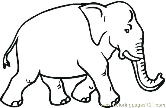 550x358 Printable Elephant Coloring Pages Get This Free For Adults