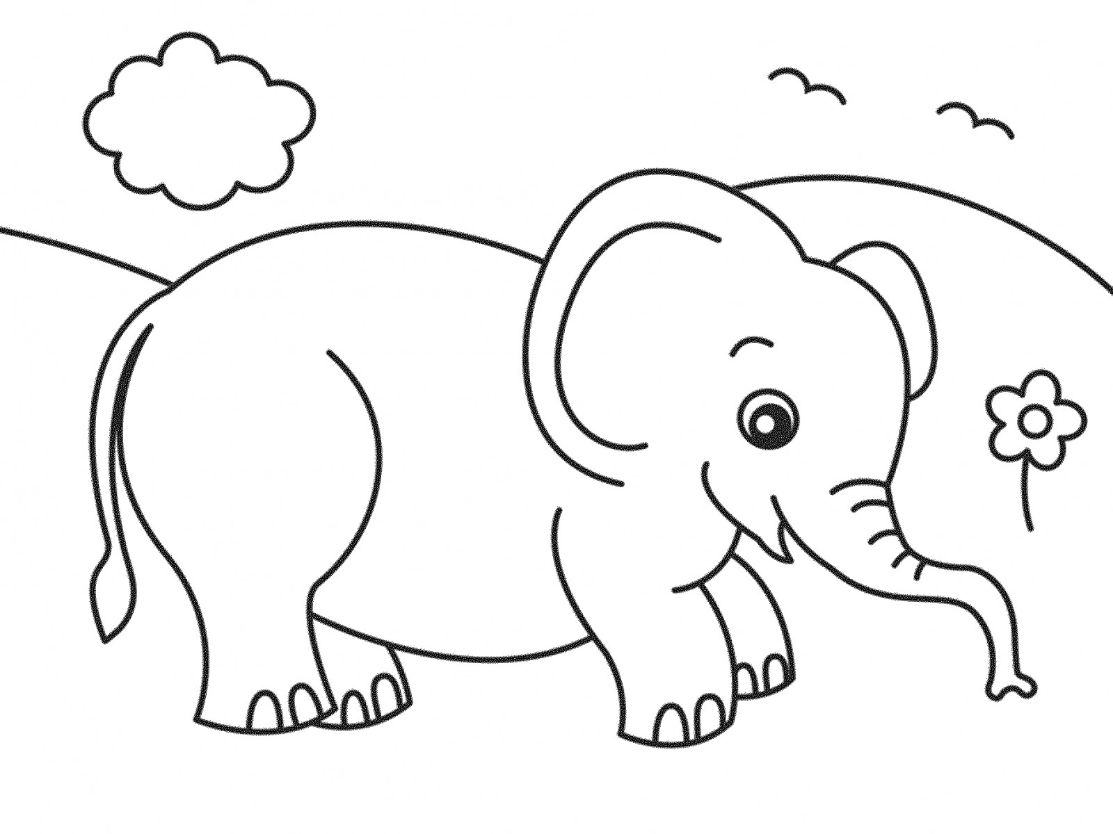 1600x1200 Cartoon Elephant Animals Coloring Pages For Kids Unique Realistic