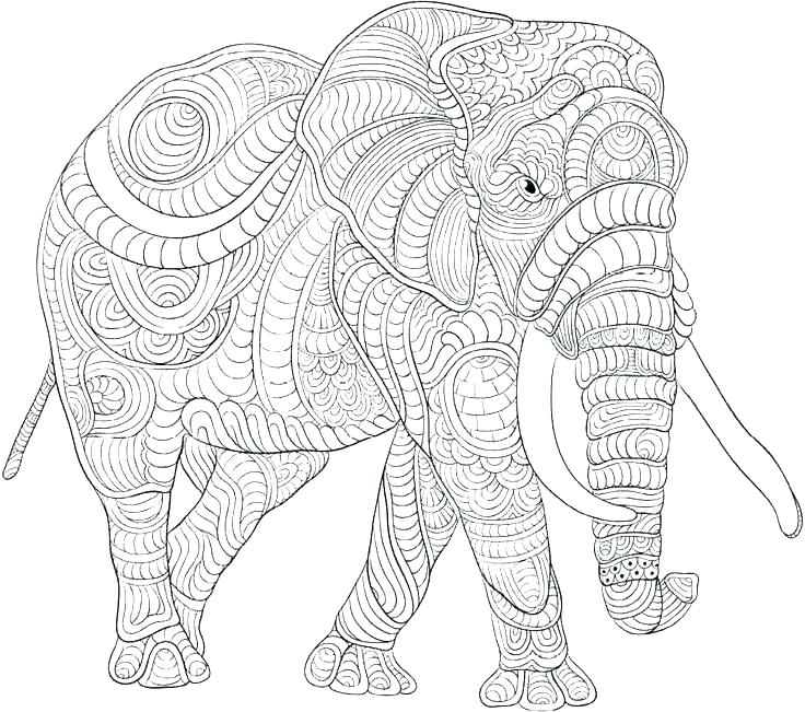 736x651 Elephant Adult Coloring Page Elephant Adult Coloring Page Elephant