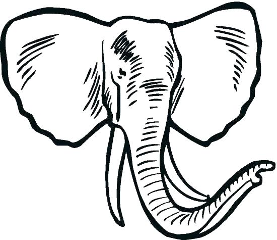 550x475 Elephant Coloring Page Printable Elephant Coloring Pages Elephant