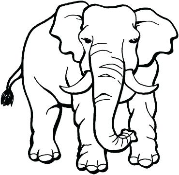 370x360 Elephants Coloring Pages X Printable Elephant Coloring Pages