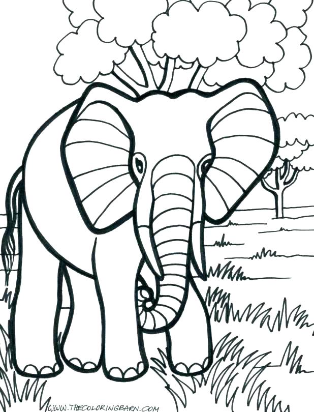 618x810 Printable Elephant Coloring Pages Printable Elephant Coloring
