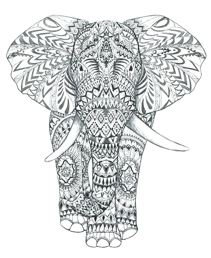 675x825 Baby Elephant Coloring Sheets Printable Elephant Mandala Coloring