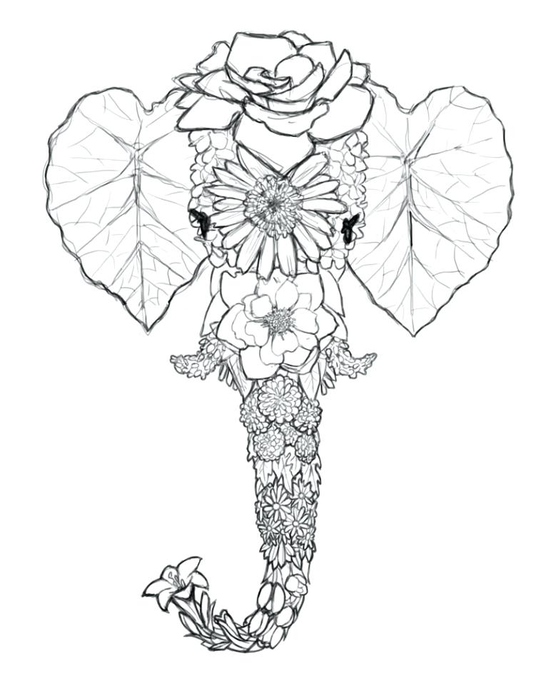 772x960 Coloring Pages Elephant Coloring Pages For Adults Elephant Free