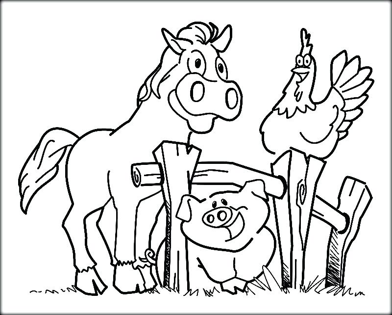 Farm Animal Coloring Pages Surprising Farm Animal Coloring Pages 800x642 Farm Animal Coloring Pages Surprising Farm Animal Coloring Pages