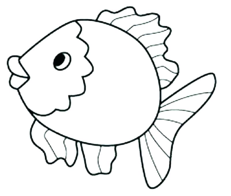 800x680 Fish Colouring Pages Printable Kids Coloring Free Printable Fish