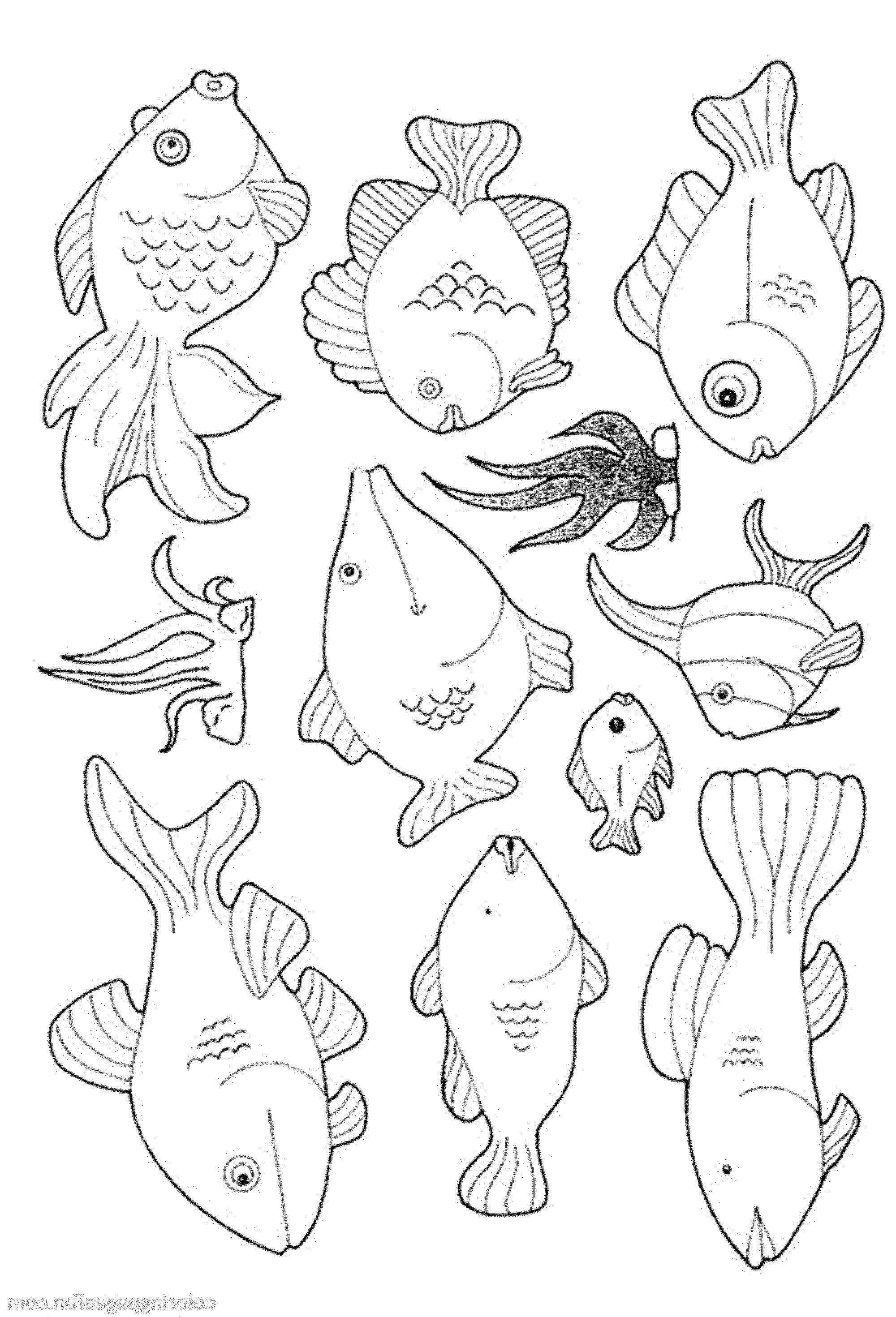 2000x2941 Print Download Cute And Educative Fish Coloring Pages Best