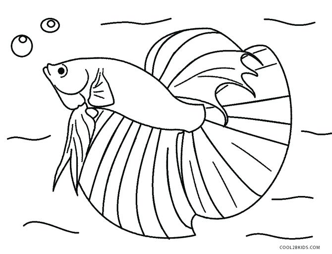 670x512 Realistic Fish Coloring Pages Saltwater Fish Coloring Pages Free