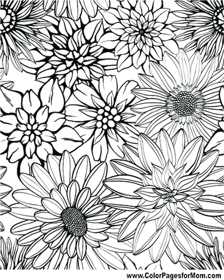 769x960 Inspirational Detailed Flower Coloring Pages And Flower Bouquet