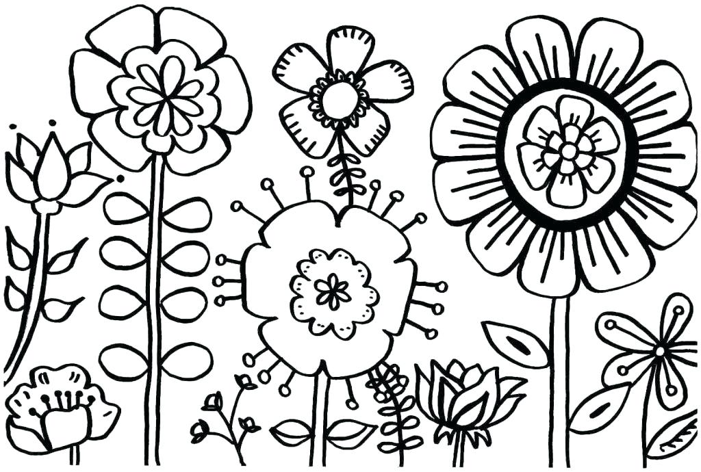 1024x690 Realistic Flower Coloring Pages Detailed Flower Coloring Pages