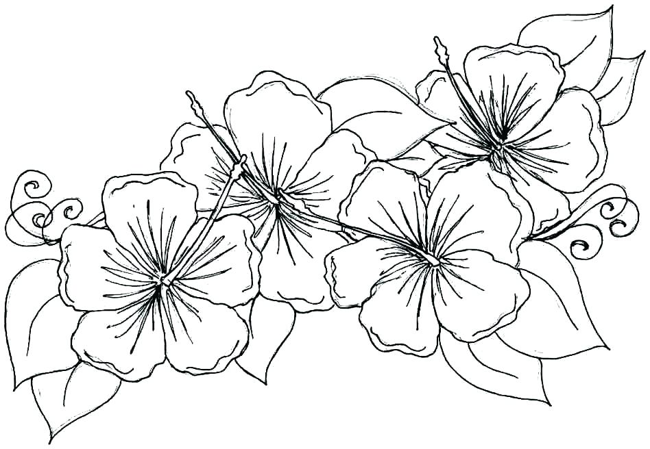 Flower Coloring Pages Printables Flower Coloring Pages Free 948x656 Flower Coloring Pages Printables Flower Coloring Pages Free