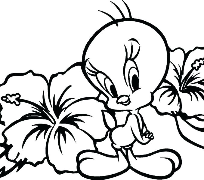 Flowers Coloring Pages Printable Flower Coloring Pages For Kids 678x600 Flowers Coloring Pages Printable Flower Coloring Pages For Kids