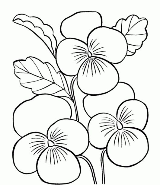 9 Best Drawings Images On Drawing Flowers, Coloring 530x613 9 Best Drawings Images On Drawing Flowers, Coloring