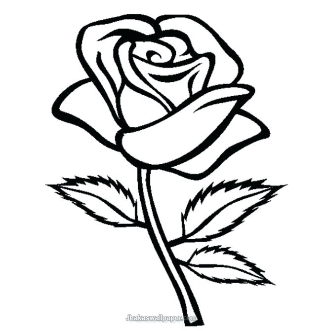 Rose Flower Coloring Pages Kids Colouring In Cure Rose Flower 658x671 Rose Flower Coloring Pages Kids Colouring In Cure Rose Flower