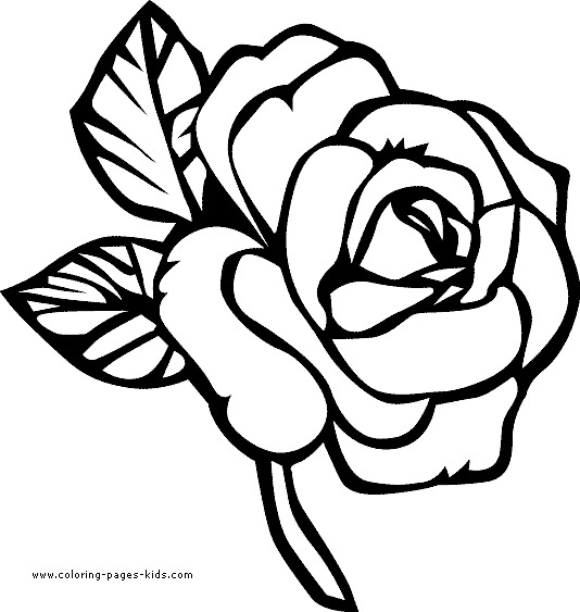 Cute Printable Flower Coloring Pages World Of Printable And Chart 534x563 Cute Printable Flower Coloring Pages World Of Printable And Chart