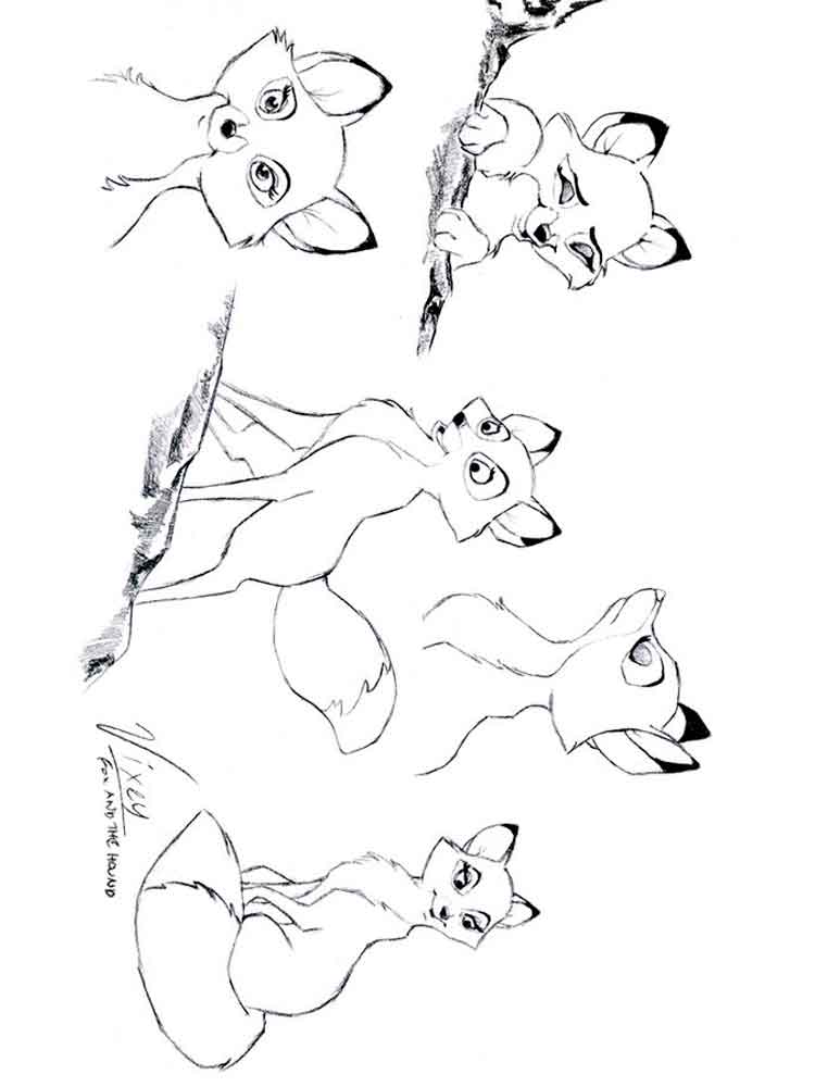 Fox And The Hound Coloring Pages. Free Printable Fox And The Hound 750x1000 Fox And The Hound Coloring Pages. Free Printable Fox And The Hound