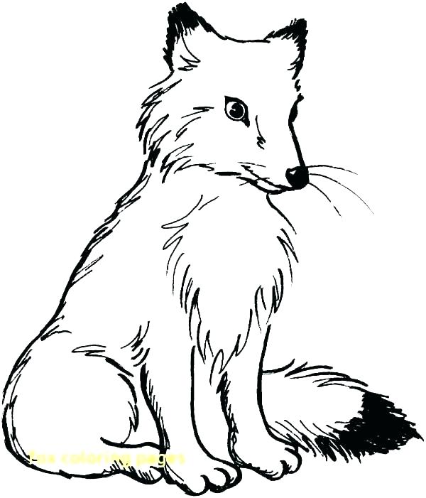 Fox Coloring Pages Free Printable 600x701 Fox Coloring Pages Free Printable