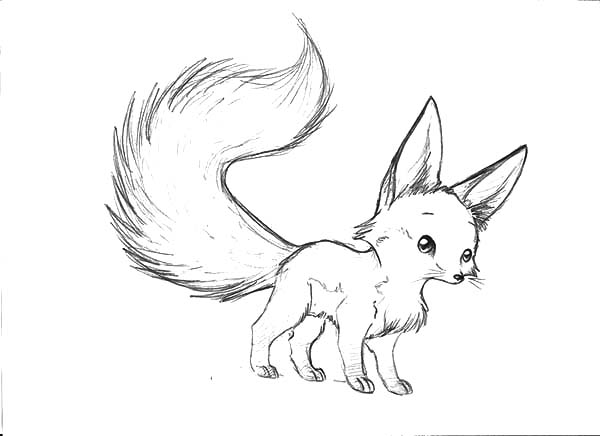 Cute Baby Fox Dot To Free Printable Coloring Pages 600x436 Cute Baby Fox Dot To Free Printable Coloring Pages