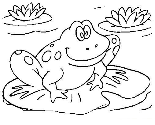 507x408 Incredible Design Ideas Frog Coloring Pages 2 To Print For Kids
