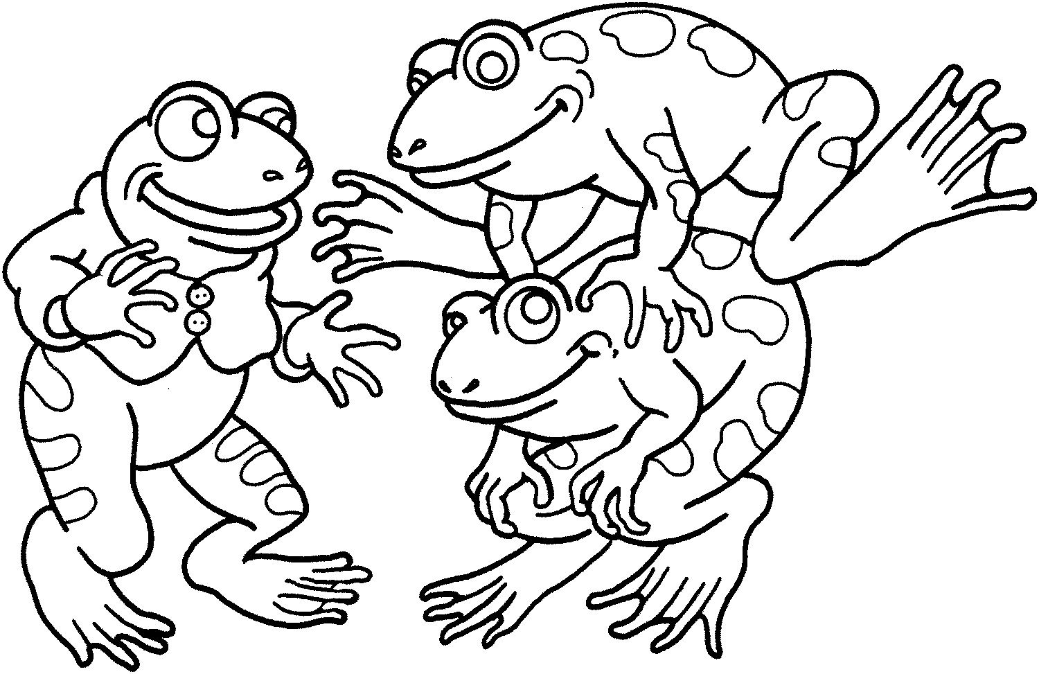1500x973 Rare Coloring Pictures Of Frogs Free Printable Frog Pages For Kids
