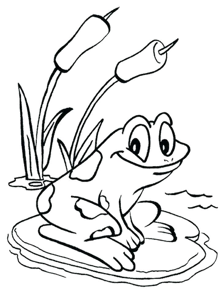 718x957 Coloring Page Of A Frog Frog Coloring Page Printable Frog Coloring