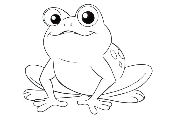 700x547 Coloring Pages Of Frogs Coloring Pages For Girls Frogs Printable